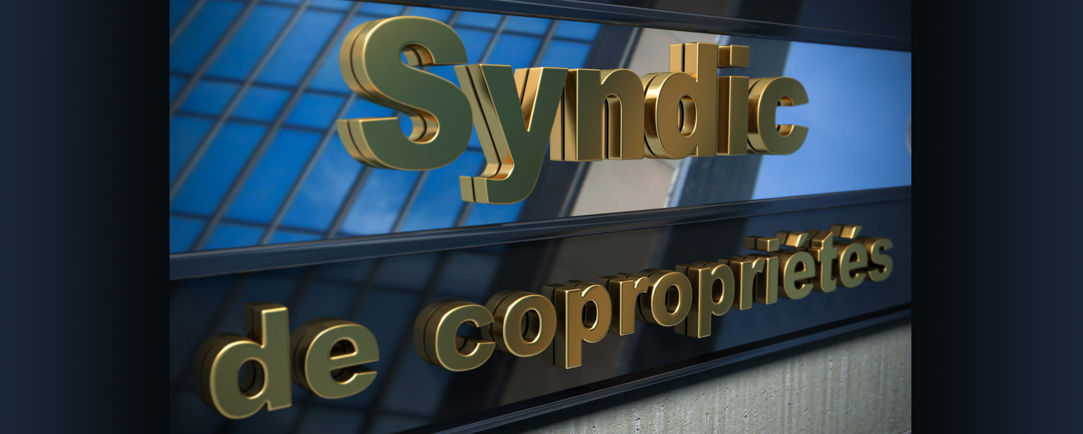 Syndics de copropriété